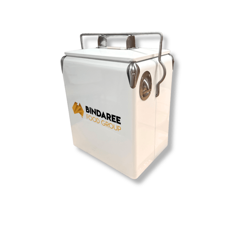 17L Retro Cooler